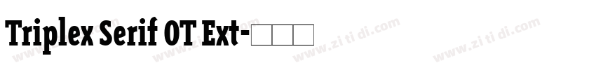 Triplex Serif OT Ext字体转换